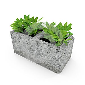 Cinder block urban garden on a white. 3D illustration