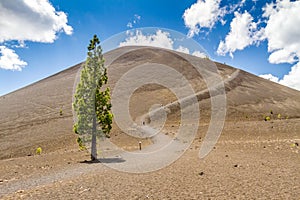 Cinder Cone in Lassen Volcanic National Park photo