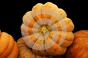 Cinderella Pumpkin Black BG photo