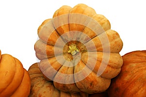 Cinderella Pumpkin White BG photo