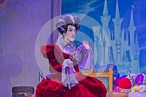 Cinderella's Mean Wicked Stepmother