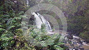 Cinemagraph Loop of Hawaiian Waterfall in Rainforest, Maui, Hawaii