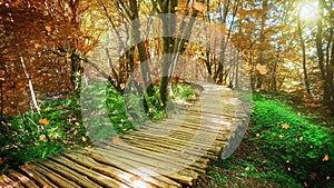 Cinemagraph video of autumn wooden path in Plitvice Lake, Croatia
