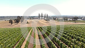 Cinematic aerial footage of vineyards in Oregon`s Willamette Valley.