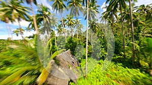 Cinematic FPV flight among palm trees on tropical island on sunny day, Thailand