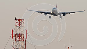 Cinematic shot of plane landing