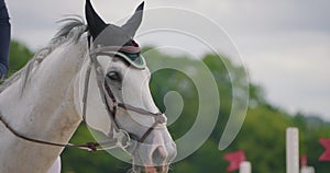 Cinematic slow motion close up of young female horsemanship master dressed in a professional apparel is practising