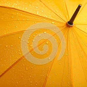 Cinematic View Of Umbrella