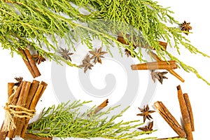 Cinnamon, anise and spruce branches on a white