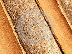 Cinnamon bark photo