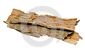 Cinnamon Bark photo