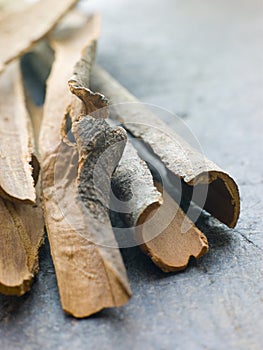 Cinnamon Bark