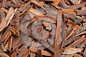 Cinnamon Bark Background