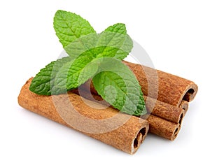 Cinnamon bark and fresh mint