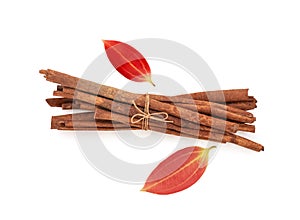 Cinnamon bark and young red leaves isolated on white background with clipping path.top view,flat lay