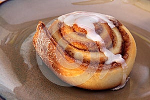 Cinnamon Bun on a Plate