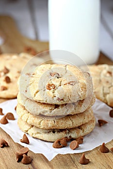 Cinnamon Chip Snickerdoodle Cookies