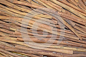 Cinnamon (cinnamon)