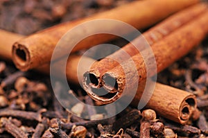 Cinnamon and clove photo