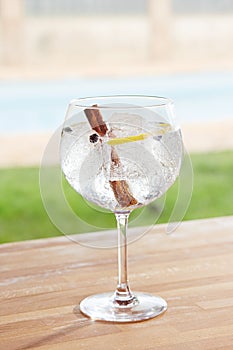 Cinnamon and juniper gin and tonic cocktail by a pool outdoors