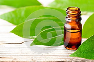 Cinnamon leaf essential oil and fresh cinnamon leaves on the wooden board