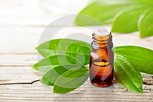 Cinnamon leaf oil and fresh cinnamon leaves on the wooden board