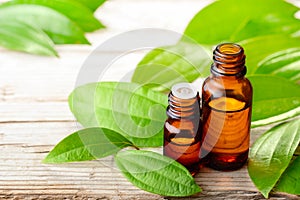 Cinnamon leaf oil in the glass bottle, with fresh cinnamon leaf, on the wooden board