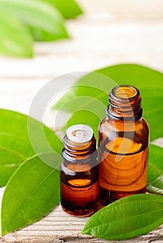 Cinnamon leaf oil in the glass bottle, with fresh cinnamon leaf, on the wooden board