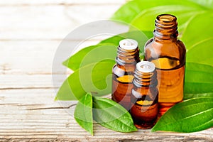 Cinnamon leaf oil in the glass bottle, with fresh cinnamon leaf, on the wooden board