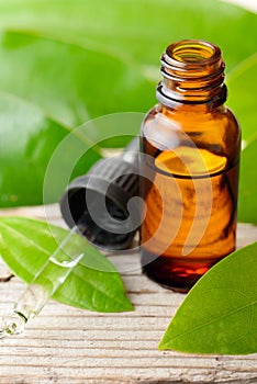 Cinnamon oil and fresh cinnamon leaves on the wooden board