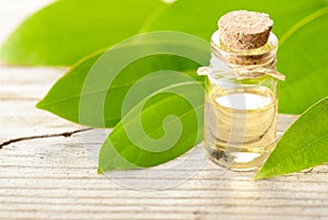 Cinnamon oil and fresh cinnamon leaves on the wooden board