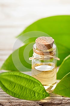 Cinnamon oil and fresh cinnamon leaves on the wooden board