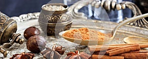 Cinnamon powder and sticks in a silver tray, banner