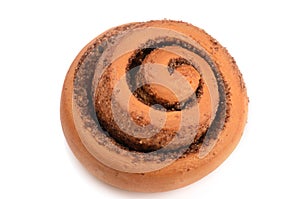 Cinnamon roll isolated on white