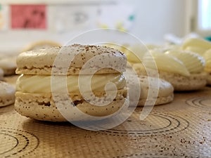 Cinnamon roll macarons ready to be eaten.