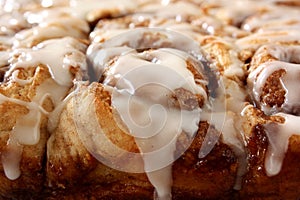 Cinnamon Rolls