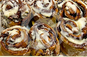 Cinnamon Rolls