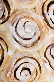 Cinnamon Rolls