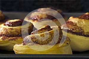 Cinnamon rolls baking in a convection oven