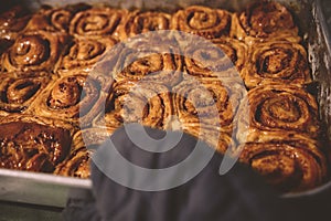 Cinnamon rolls with cheese baked and ready to eat. Golfeados typical dessert in Venezuela. photo
