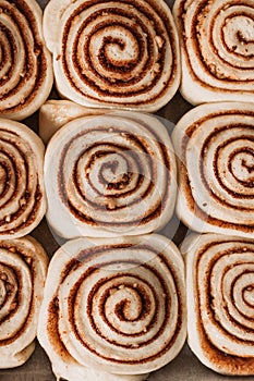 Cinnamon rolls homemade raw dough preparation. Cinnabons traditional dessert buns pastry made swirl. Background for text