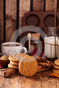 Cinnamon snickerdoodle cookies