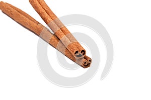 Cinnamon spice sticks isolated