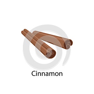 Cinnamon spice - vector illustration in flat design isolated on white background. Cinnamon dried bark strips.