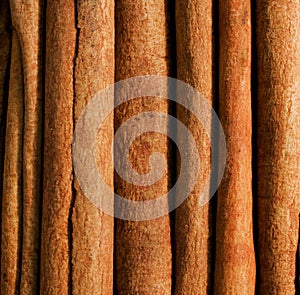 Cinnamon stick
