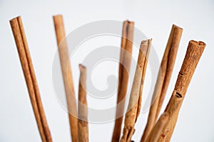 cinnamon stick (Cinnamomum verum) in a glass on white background