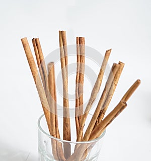 cinnamon stick (Cinnamomum verum) in a glass on white background