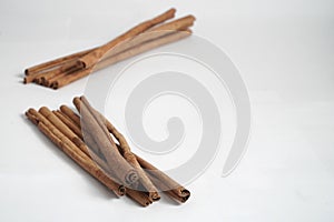 cinnamon stick (Cinnamomum verum) on white background