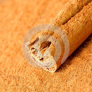 Cinnamon stick isolated