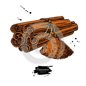 Cinnamon stick tied bunch and powder. Vector drawing. Hand drawn photo
